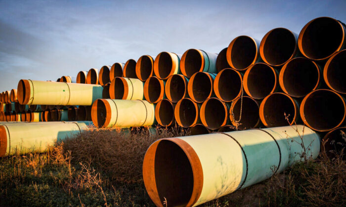 Miles of unused pipe, prepared for the proposed Keystone XL pipeline, sit in a lot outside Gascoyne, N.D., on Oct. 14, 2014. (Andrew Burton/Getty Images)