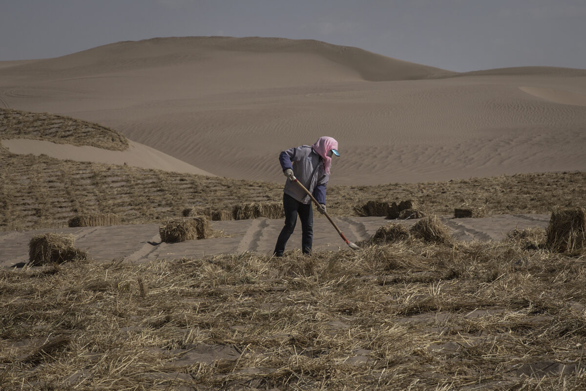 Epoch Times Photo