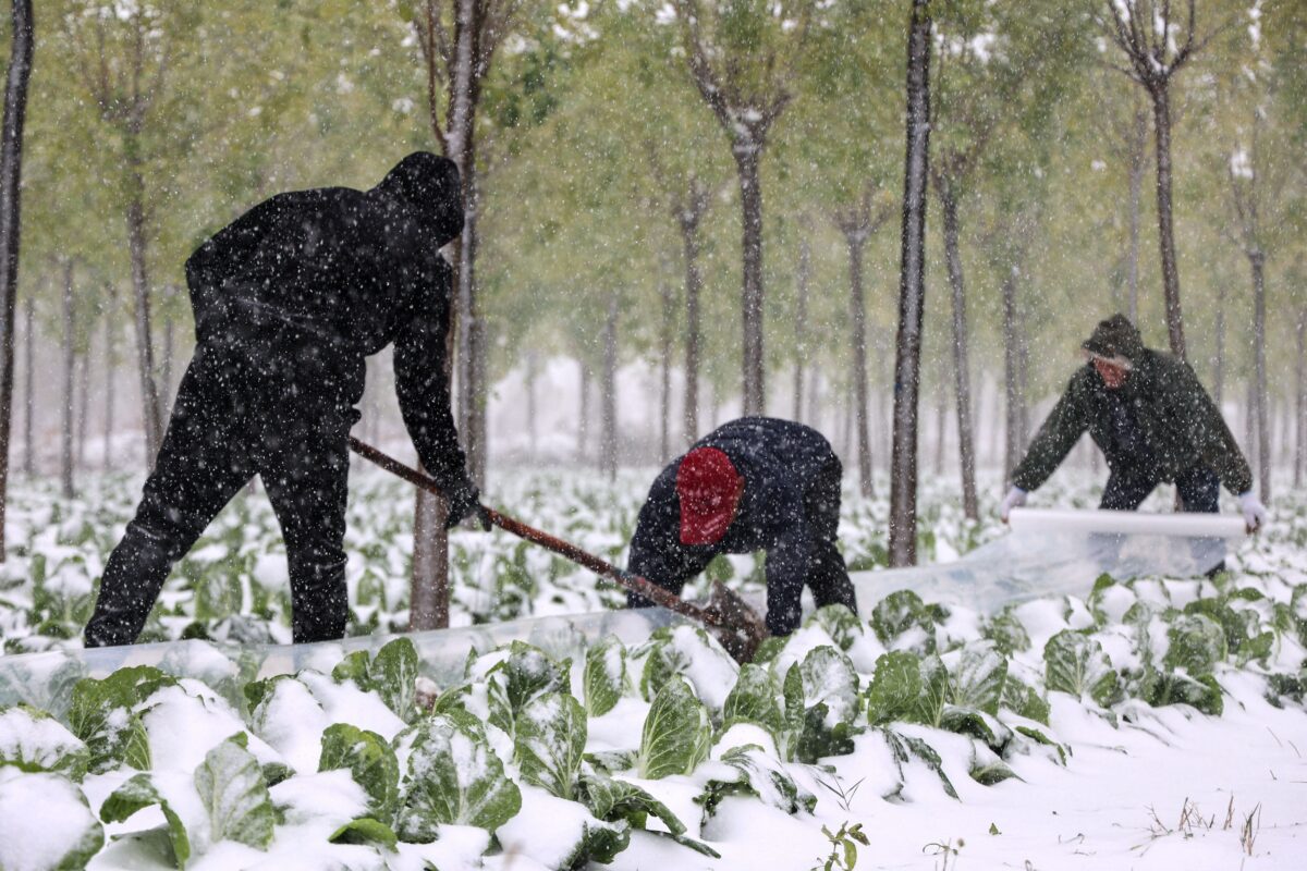 Epoch Times Photo