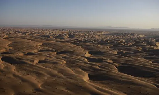 Chapman University Student Killed in Dune Buggy Crash During Film Shoot