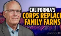 How Corporations Replacing Family Farms Changed California | Victor Davis Hanson