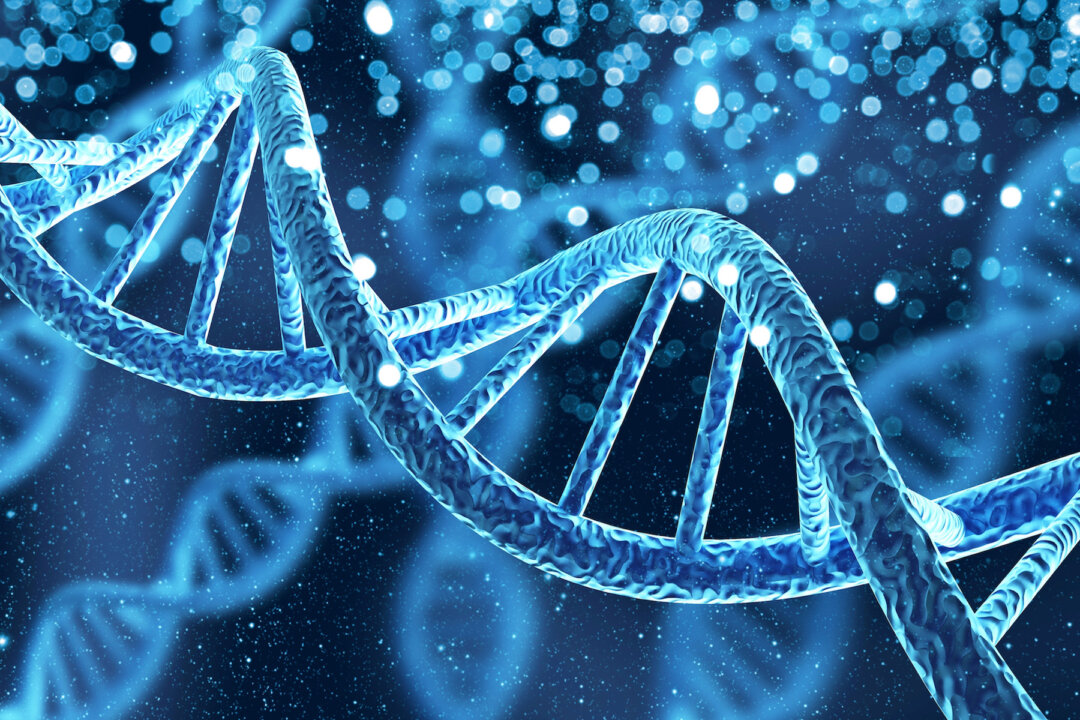 even many geneticists secretly appreciate a clear need for alternative paradigms. By Billion Photos/Shutterstock