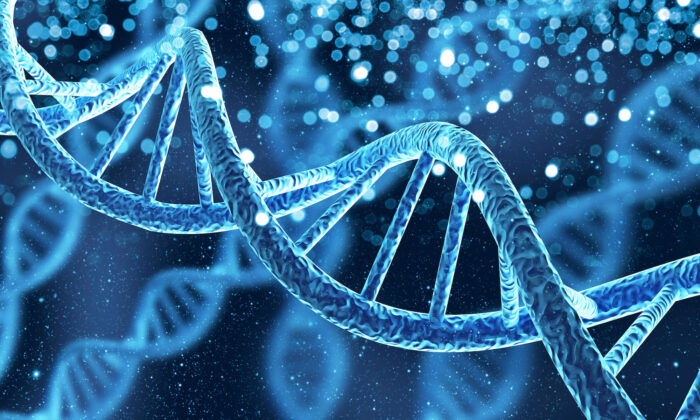How EMFs Regulate Your Health, Affect DNA
