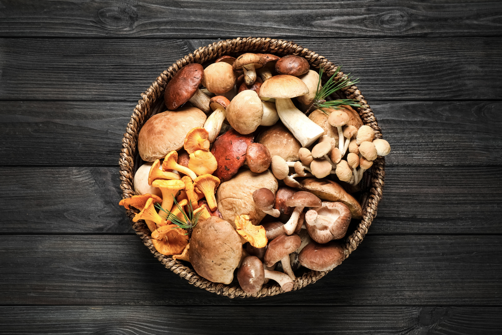 The medicinal use of mushrooms in Asian culture is one of the most well recognized use of this extraordinary plant. (Shutterstock)