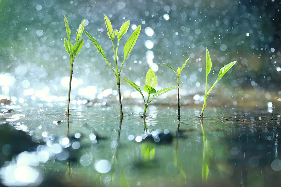 (Kichigin/Shutterstock)