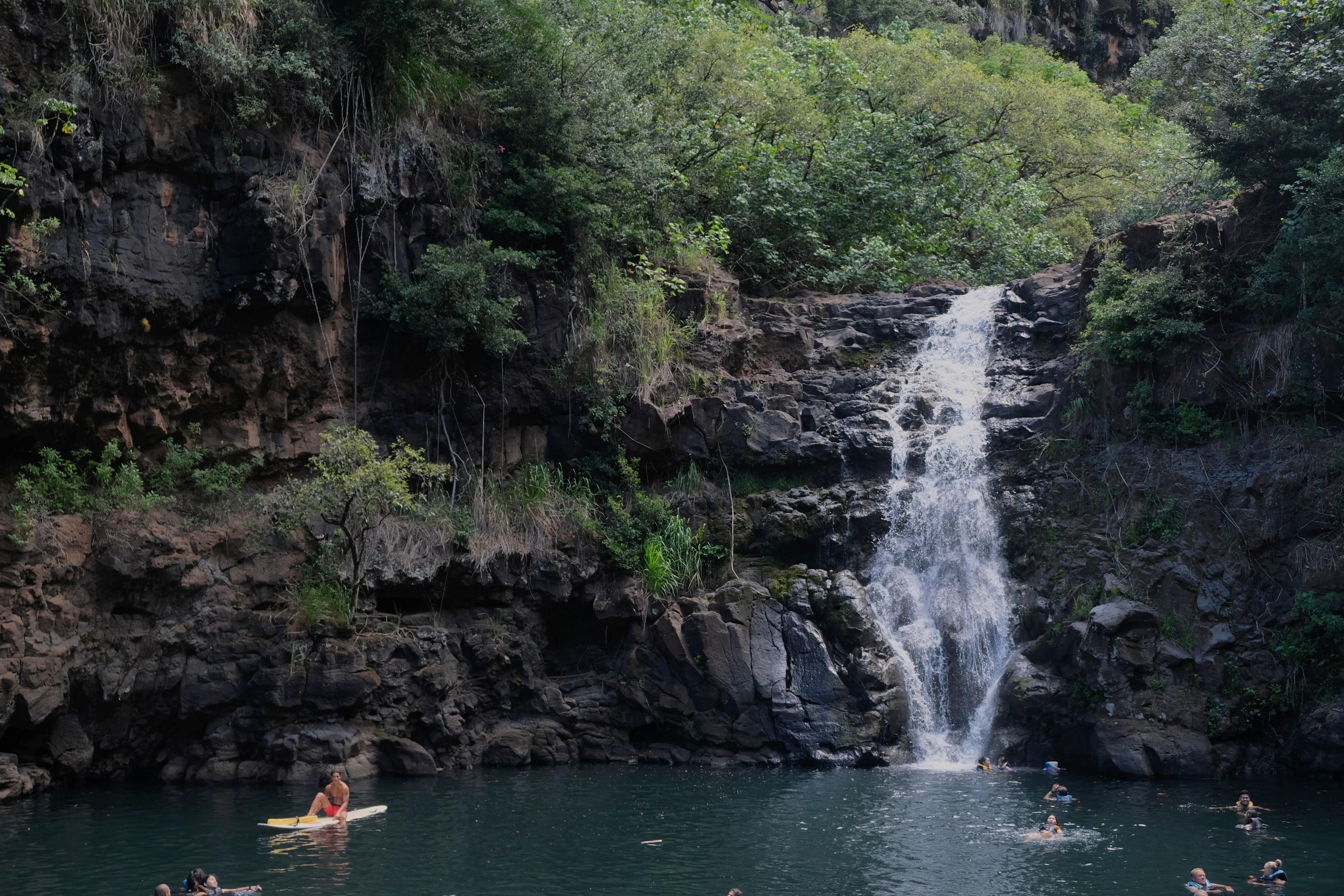 Waimea Valley Trail, Oahu, Hawaii.