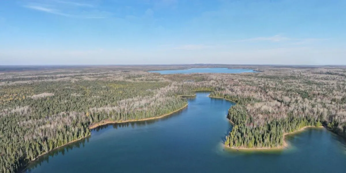 The Boreal Wildlands project located near Hearst, Ont. is shown in a handout photo. (The Canadian Press/HO-Nature Conservancy of Canada)