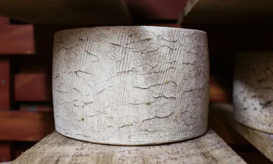 A North Carolina Artist Had a Dream of Making Cheeses the Old World Way, Like His Italian Father—So He Built a Cave in the Mountains to Do It