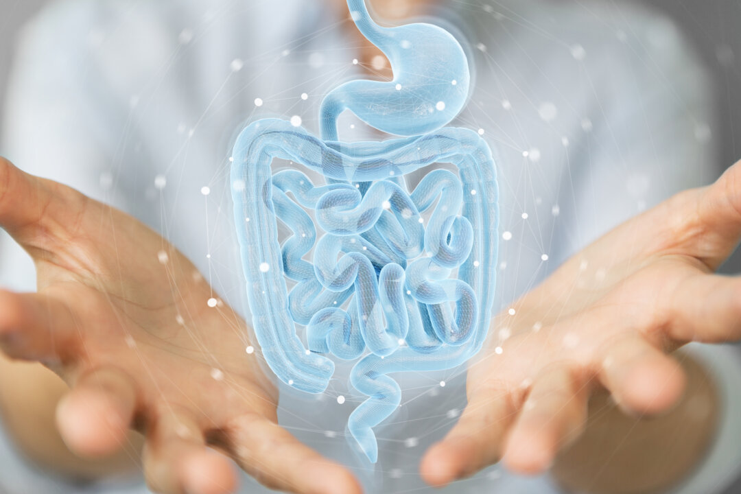 Resistant starch may benefit intestinal health. (Dreamstime/TNS)