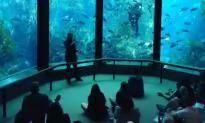 Educational Travel Destinations the Entire Family Will Enjoy