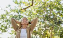 The Body Is Your Doorway Into Now
