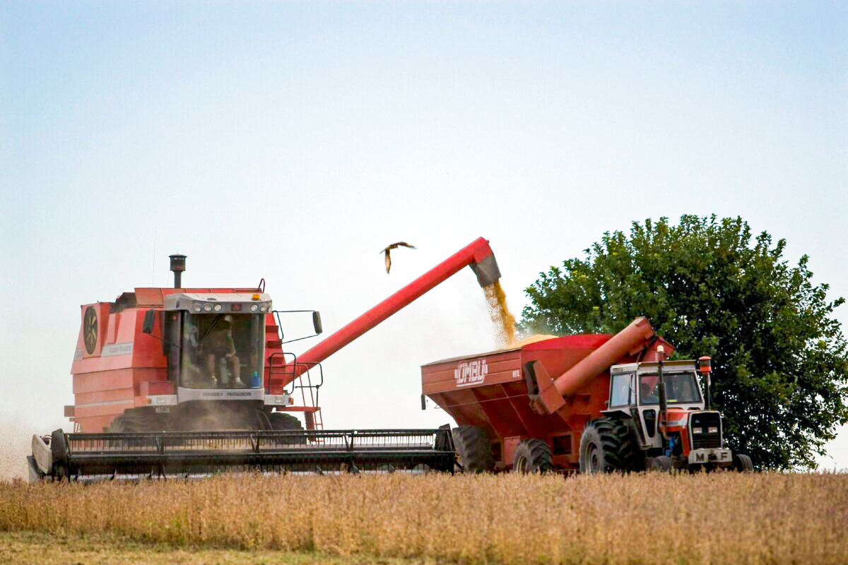 Farmers in Argentina Fight Back Against Crippling Export Taxes - Vimarsana News