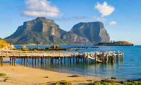 Lord Howe Island Biodiversity Recovery Following Rodent Eradication