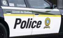 Quebec Provincial Police Issue Warning After Report of Polar Bear in Gaspé Region