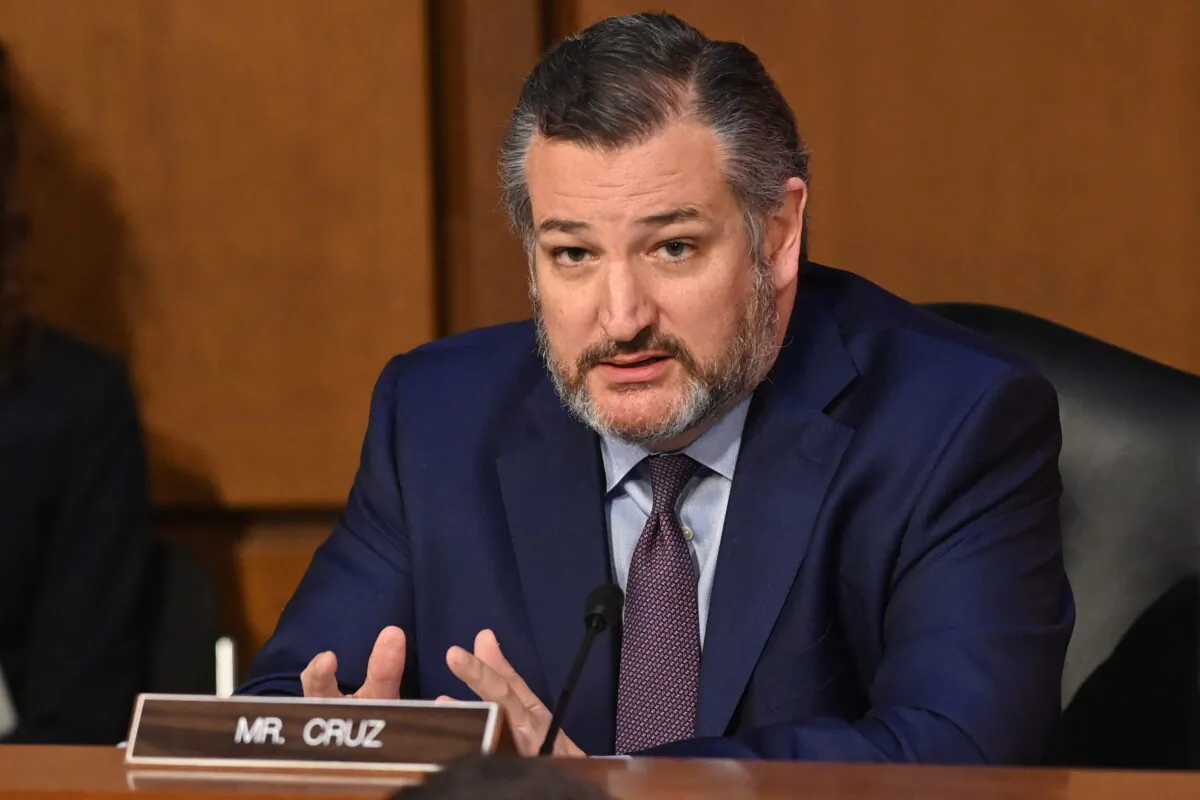 Senator Ted Cruz (R-Texas) speaks during the confirmation hearing for Judge Ketanji Brown Jackson before the Senate Judiciary Committee on her nomination to be an Associate Justice on the U.S. Supreme Court, in Washington on March 22, 2022. (Saul Loeb/AFP via Getty Images)
