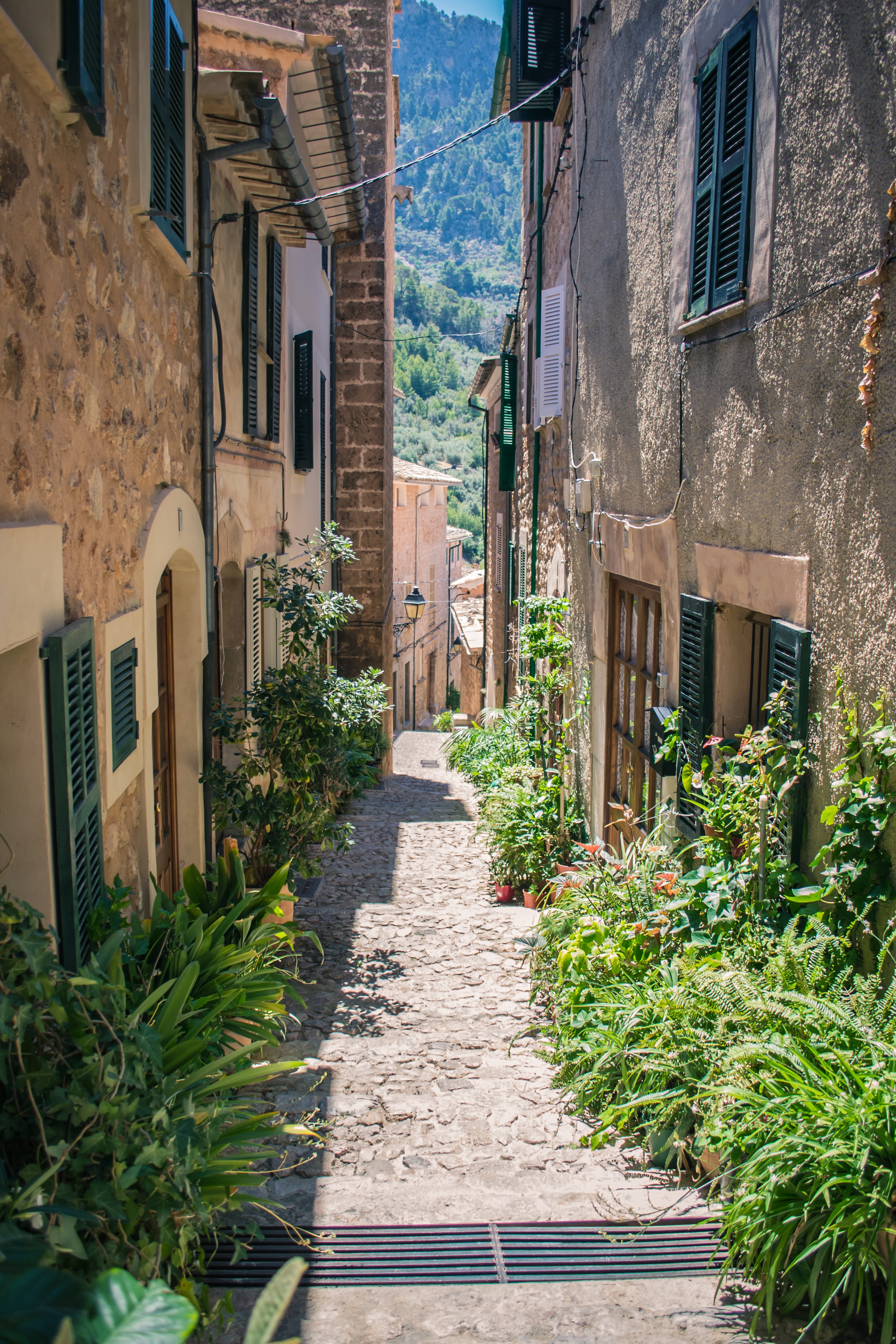 id23-_gzPPnri-4Y-unsplash