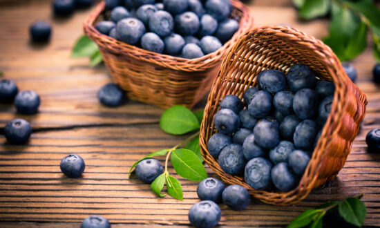 Blueberries for a Diabetic Diet and DNA Repair