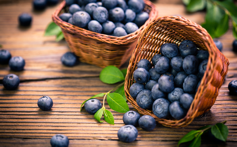 In conclusion, “one portion of blueberries can improve [our] cell[ular] resistance [to] DNA damage, “thus supporting the importance of consuming [healthy plant] foods regularly.” (ShutterStock)