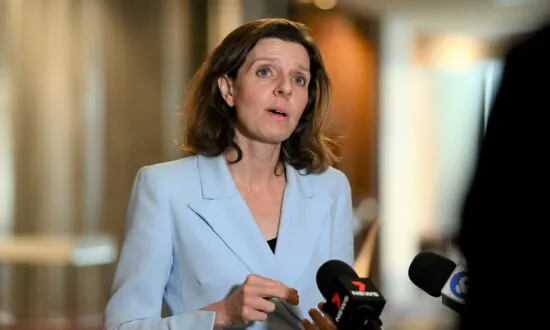‘Teal’ MP Calls for Cuts to Red Tape, Better Support for Small Business