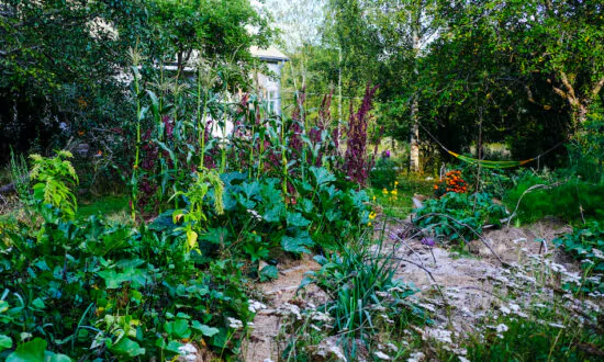 Food Forests for Life and Prosperity