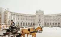 Exploring Vienna: Esperanto, Schnitzel, and Quirky Museums