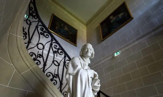 The Legacy of Voltaire and the Demon in Democracy
