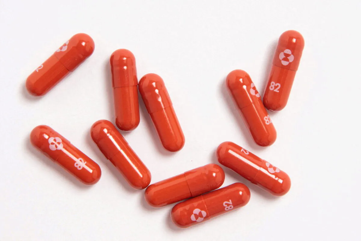 COVID-19 treatment molnupiravir developed by Merck & Co. Inc and Ridgeback Biotherapeutics LP. in an undated handout photo released by Merck & Co. Inc. and obtained by Reuters, on Oct. 26, 2021. (Merck & Co. Inc./Handout via Reuters)
