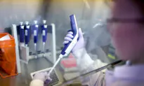 US, UK, China Collaborating on ‘Newly Emerging Avian Influenza Viruses’: Report