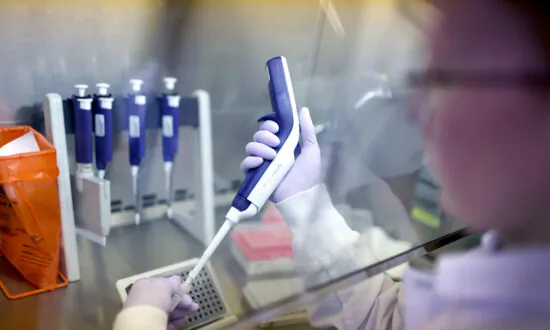 US, UK, China Collaborating on ‘Newly Emerging Avian Influenza Viruses’: Report
