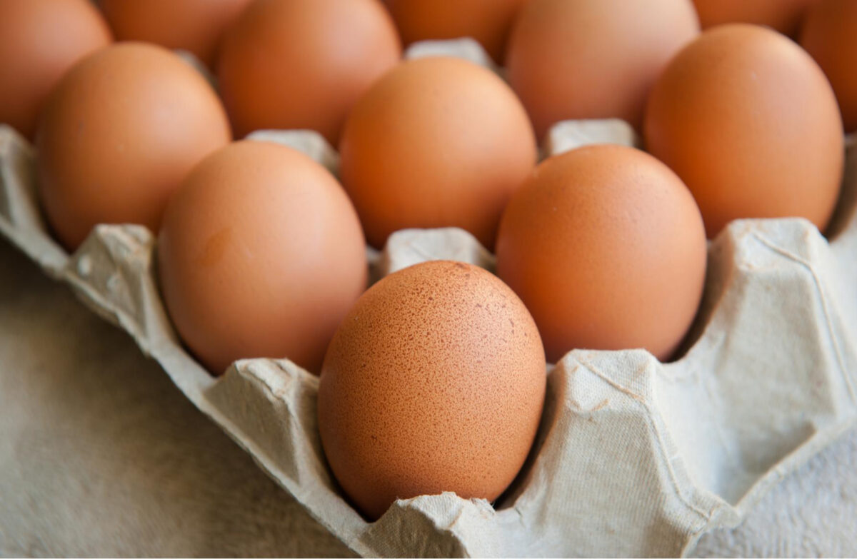 Eggs May Hold the Key to a New COVID-19 Treatment