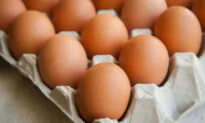 Eggs May Hold the Key to a New COVID-19 Treatment
