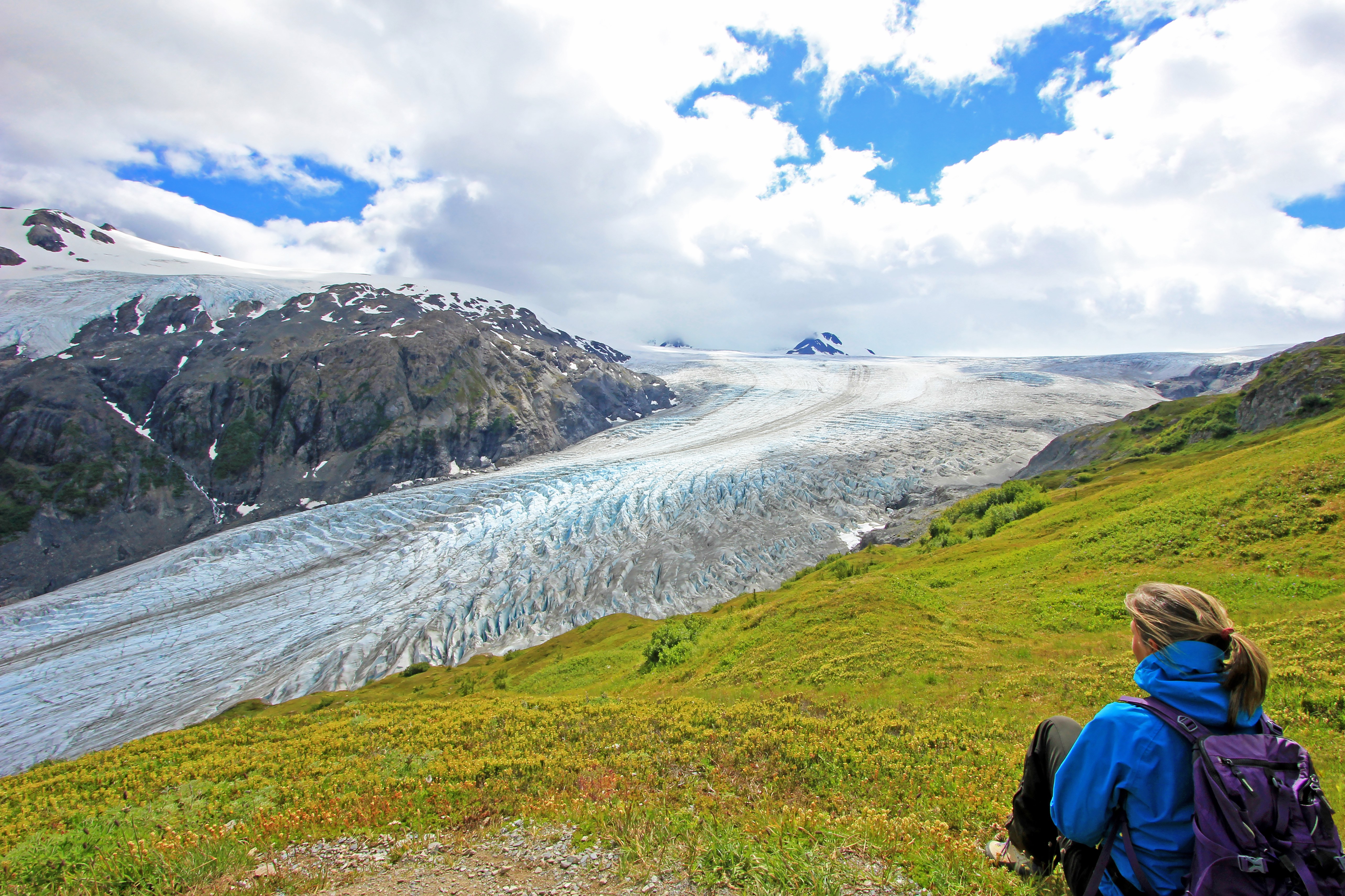 Exit Glacier, Harding Ice Field, Kenai Fjords National Park, Alaska, USA