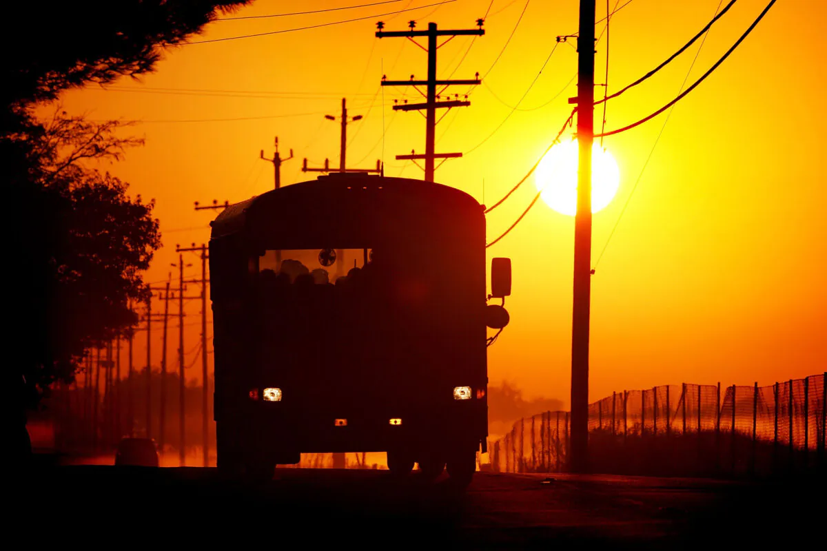 A school bus carries children at sunrise on Bethel Island, Calif., on Sept. 29, 2005. (David McNew/Getty Images)