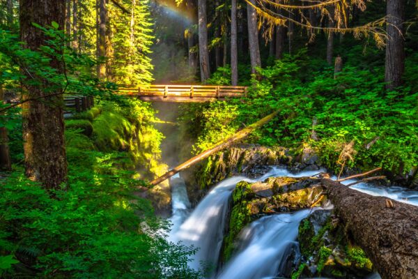 Morning Hike to Sol Duc Falls in Hoh Rainforest in Olympic National Park, Washington