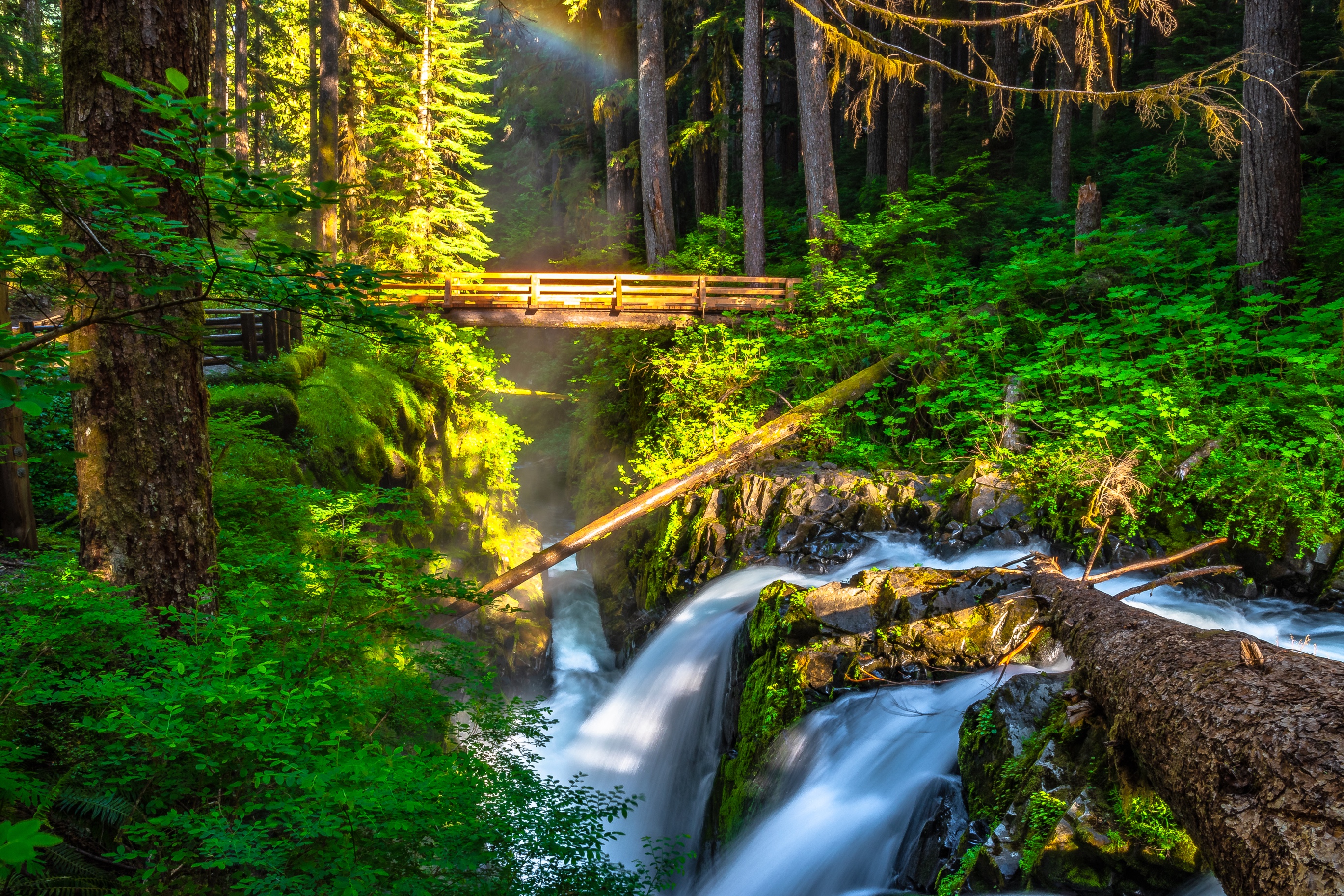 Morning Hike to Sol Duc Falls in Hoh Rainforest in Olympic National Park, Washington