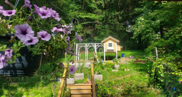 The staircase, framed by a beautiful, tiered garden, leads up to a beautiful hand-made chicken coop in a "typical neighborhood" in Binghamton, New York.