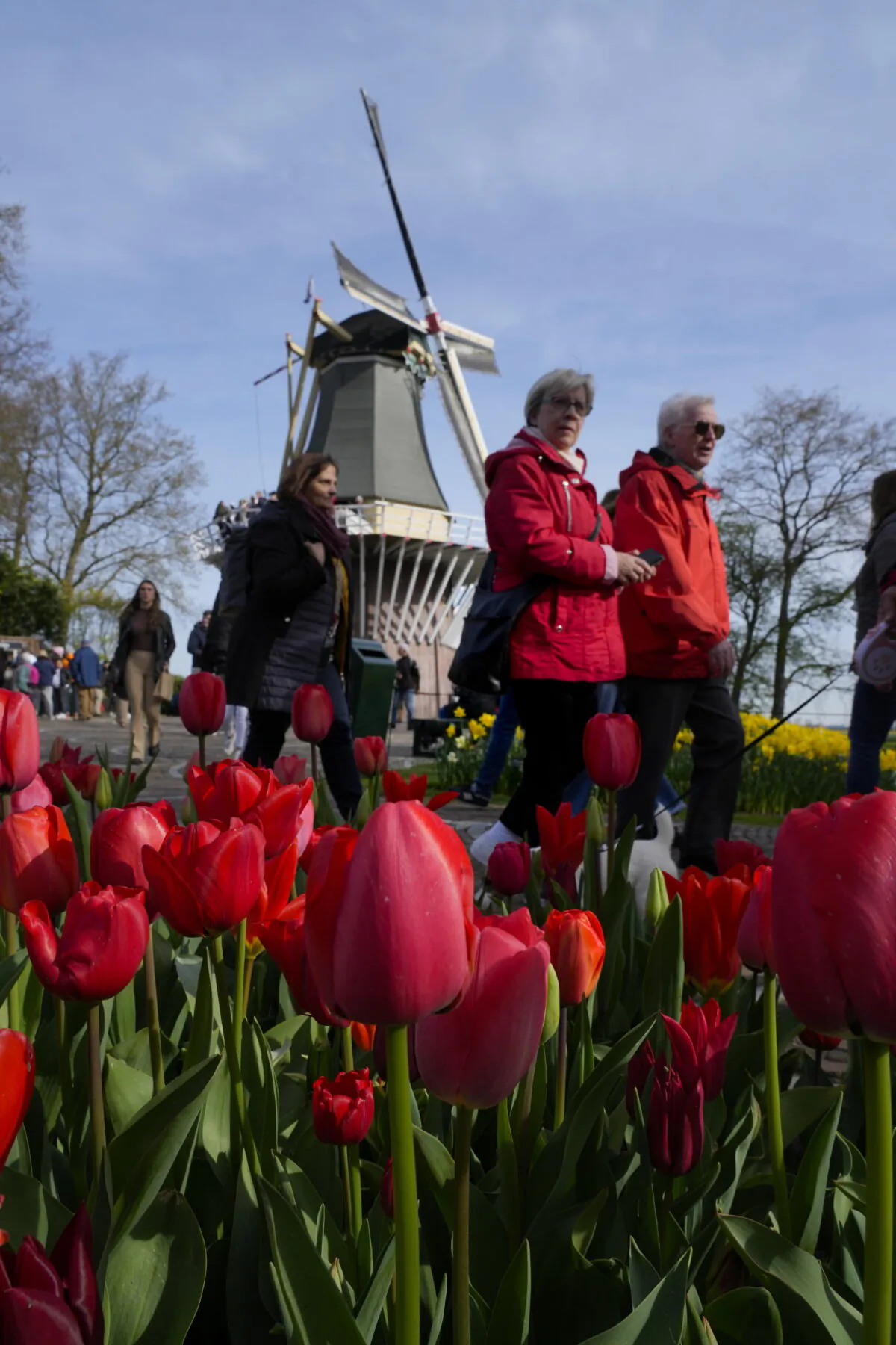 Visitors pass tulips at the world-renowned Dutch flower garden Keukenhof, in Lisse, Netherlands, on April 12, 2022. (Peter Dejong/AP Photo)