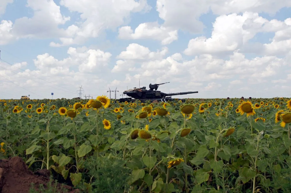 A Ukrainian army tank in a sunflower field near Donetsk in eastern Ukraine, on Aug. 5, 2014. Ukraine accounts for almost 50 percent of the world’s sunflower oil exports. (Andrey Krasnoschekov/AFP via Getty Images)