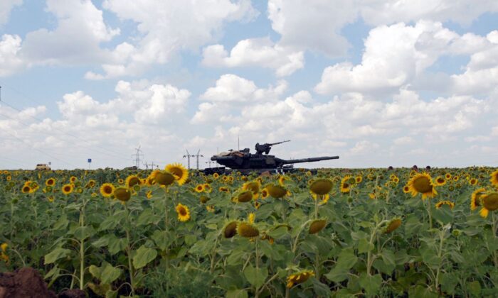 A Ukrainian army tank in a sunflower field near Donetsk in eastern Ukraine, on Aug. 5, 2014. Ukraine accounts for almost 50 percent of the world’s sunflower oil exports. (Andrey Krasnoschekov/AFP via Getty Images)