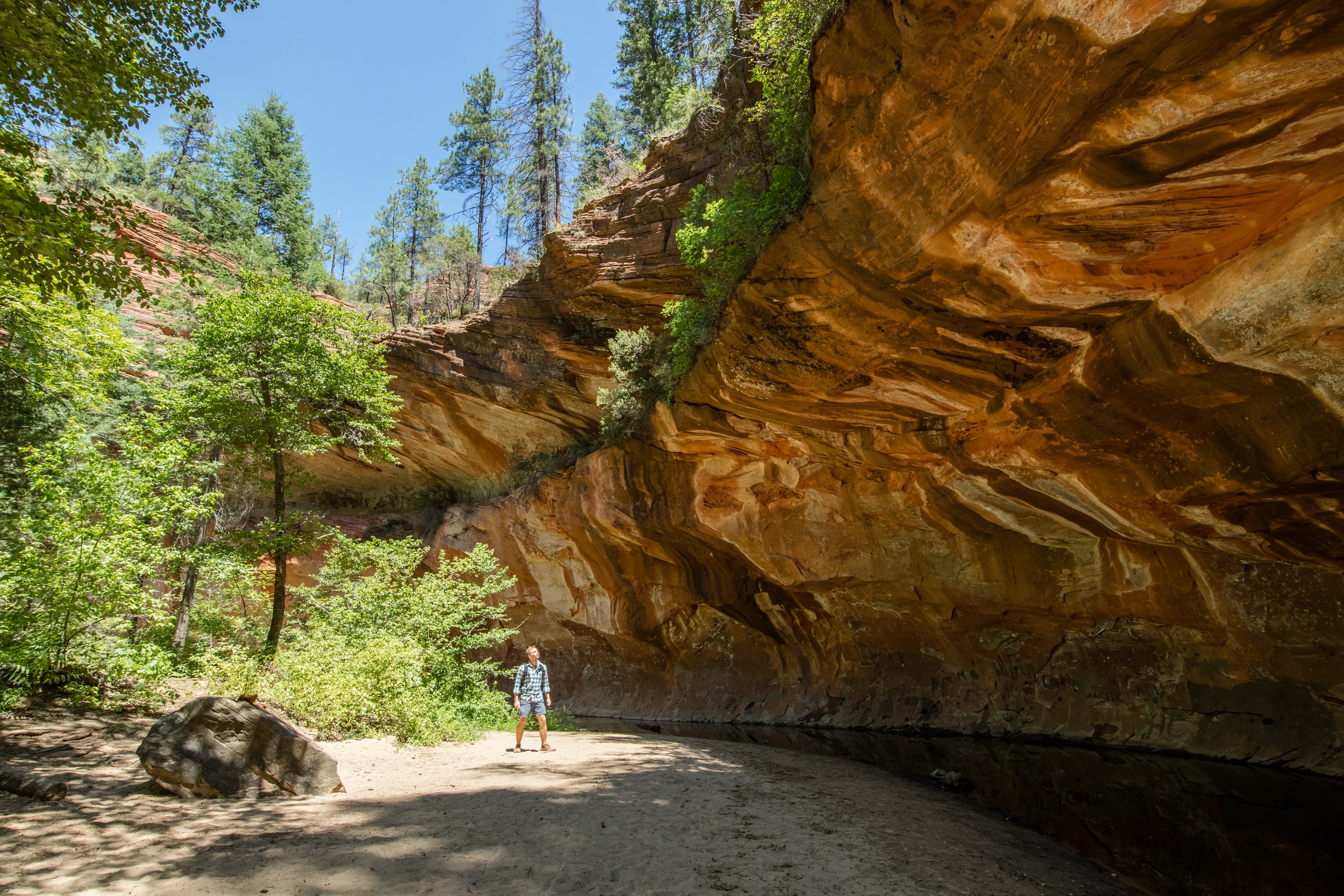 Man trekking through Oak Creek Canyon on the West Fork trail in Arizona, between Flagstaff and Sedona surrounded by beautiful red rock and lush green forest.