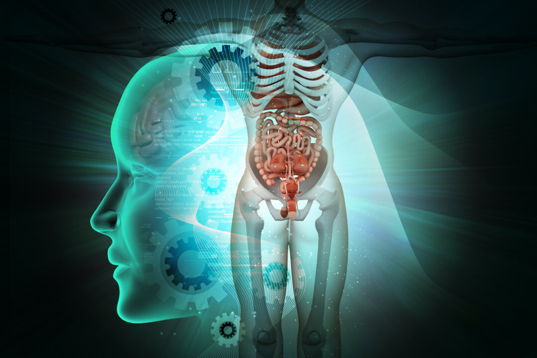 Your endocrine system is key when your body has major transformations to make like puberty, or shifting from rest and digest to fight or flight.(Horoscope/Shutterstock)