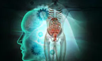 This Is Your Endocrine System