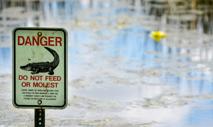 An alligator warning sign is posted in waters near the scene where a man was found dead after going into the lake to retrieve lost disc golf discs at John S. Taylor Park in Largo, Fla., on May 31, 2022. (Martha Asencio-Rhine/Tampa Bay Times via AP)