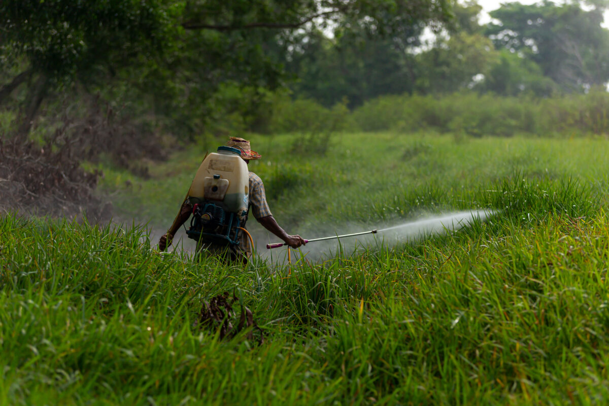 Saying No to Glyphosate in Our Foods, Environment