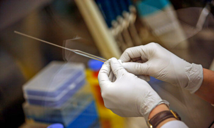 A researcher prepares stem cells in Madison, Wisconsin, on March 10, 2009. (Darren Hauck/Getty Images)