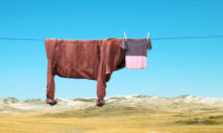 Photos: Artist Transforms Hanging Laundry and Everyday Items Into Surreal Characters