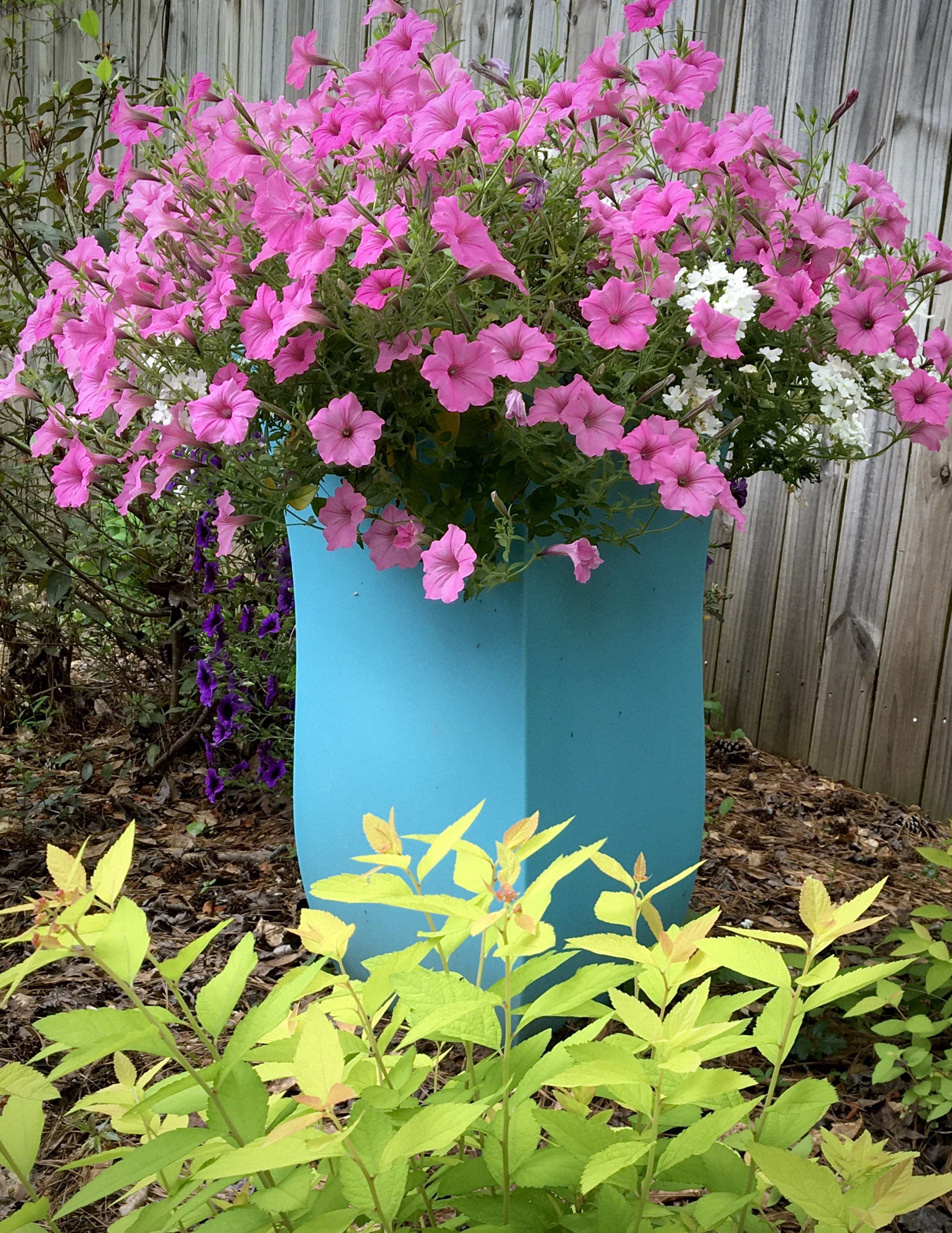 LIFE-HOME-ONGARDENING-3-MCT