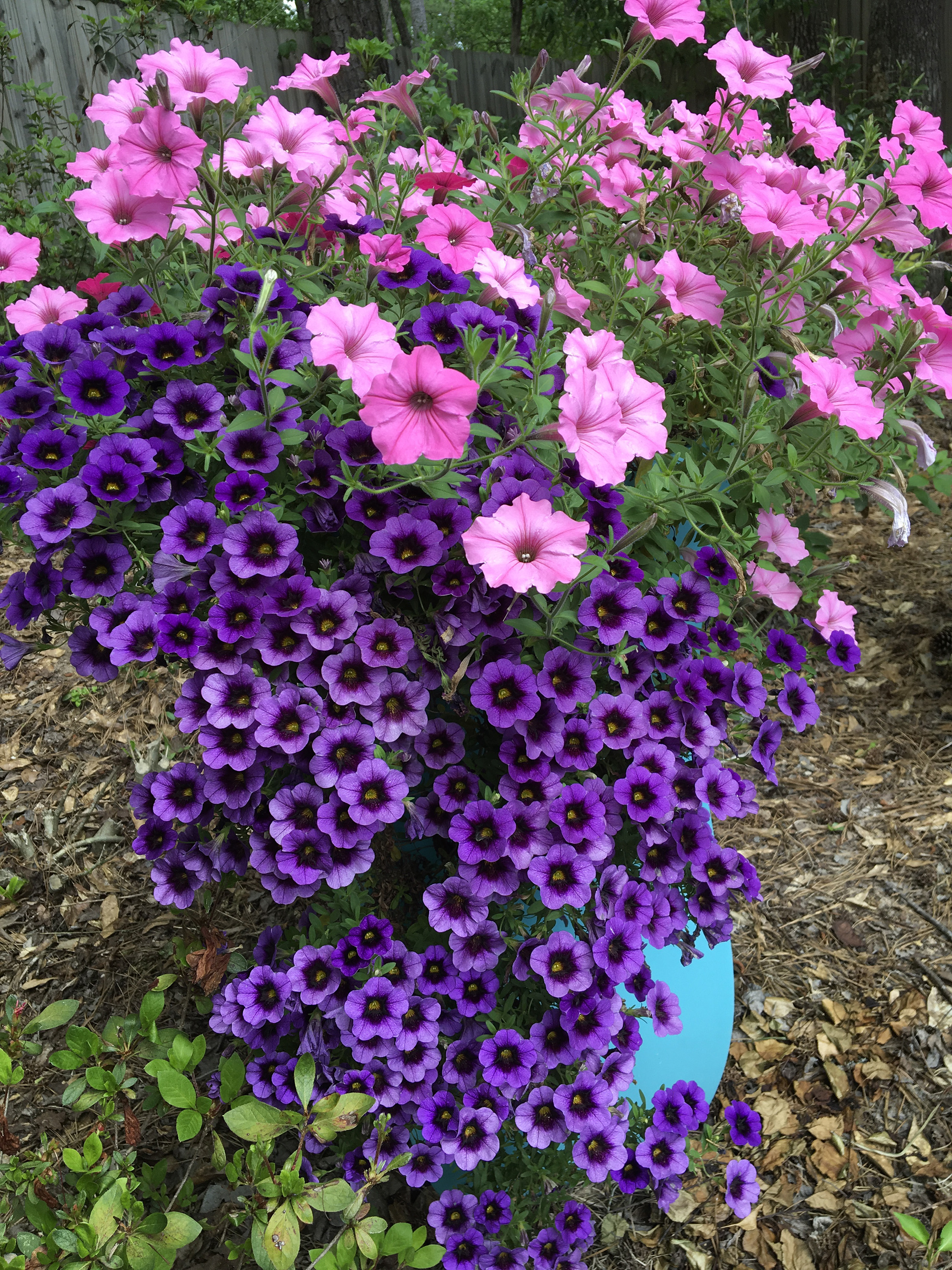 LIFE-HOME-ONGARDENING-5-MCT