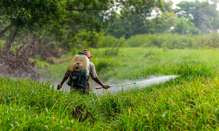 The ubiquitous use of glyphosate in industrial agriculture has spurred greater research into its consequences and movements to limit its use.(Prayong k/Shutterstock)