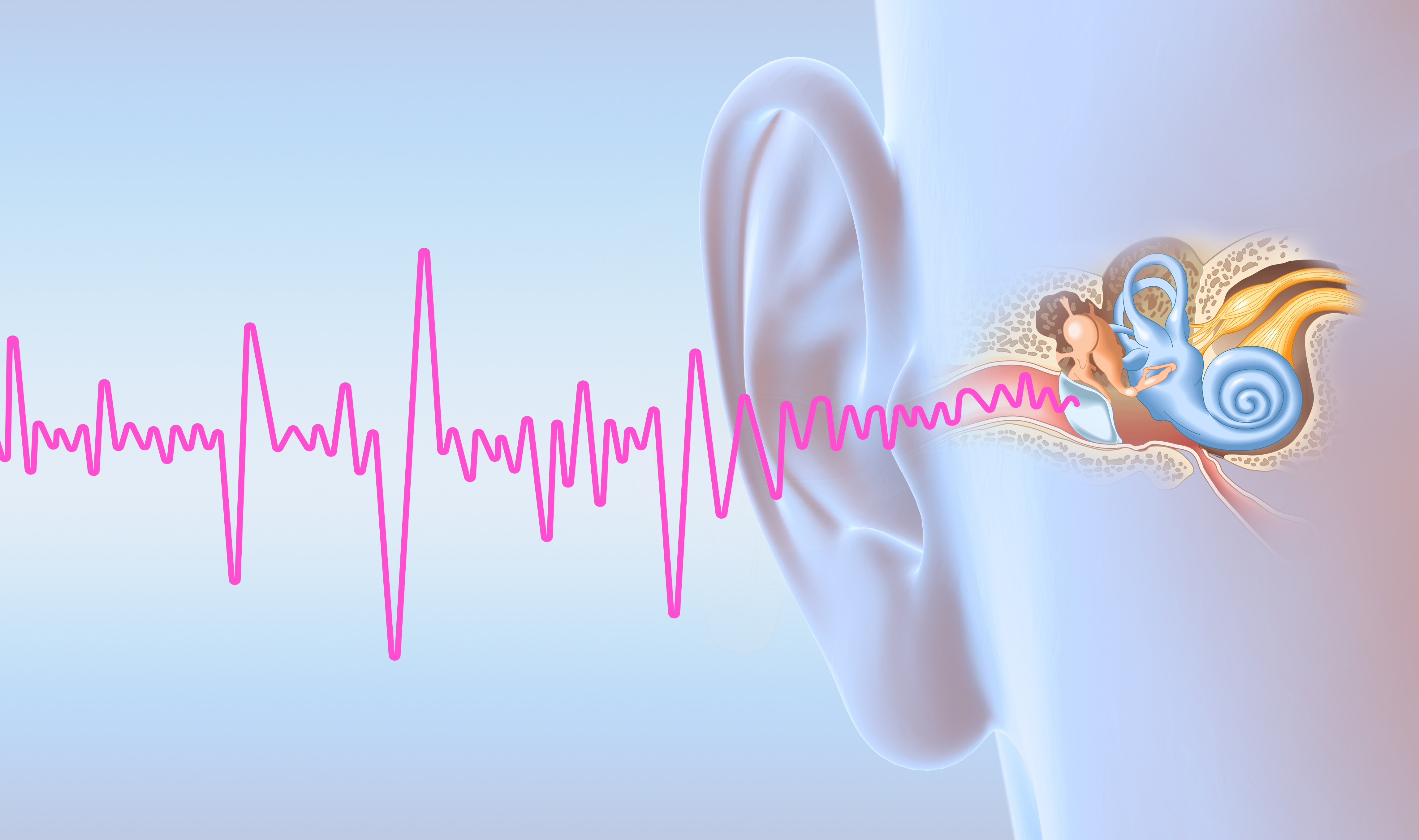 Тиннитус. Pulsatile Tinnitus treatment. Перепонка уха человека для детей.